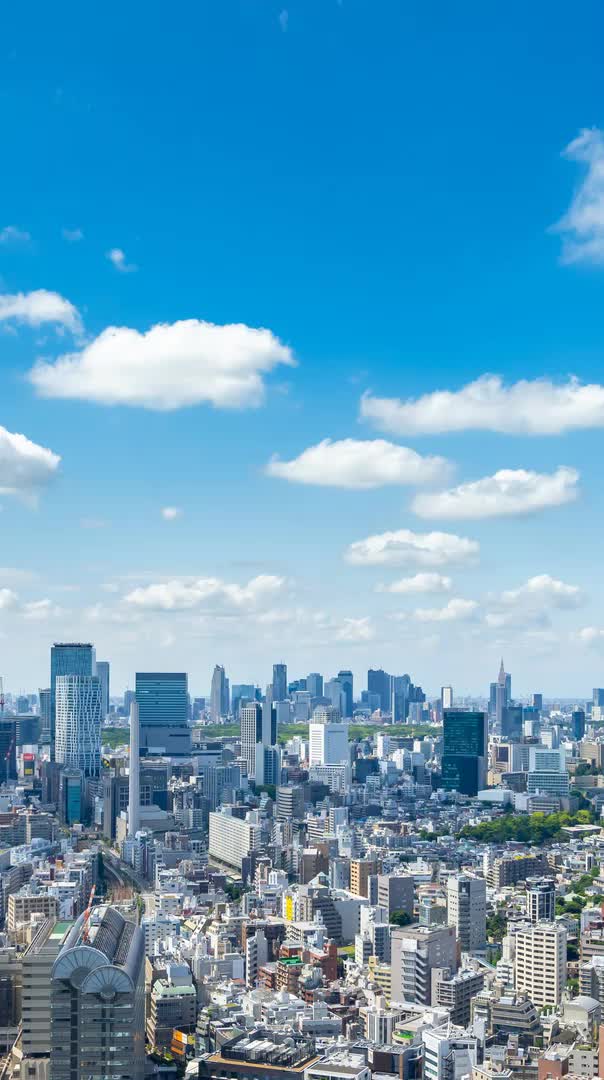 沖縄アダン＊300.302.303.335.336 株式会社 ODNソリューション